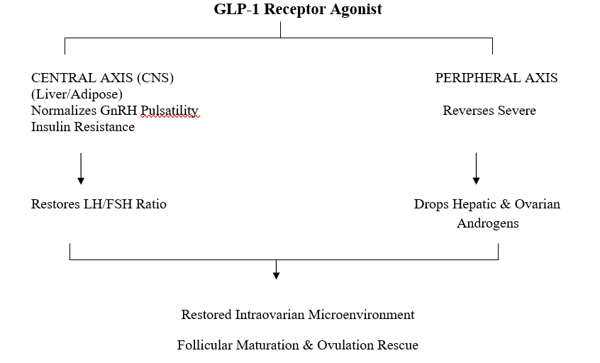 Cardiovascular Remodelling and Endothelial Signalling