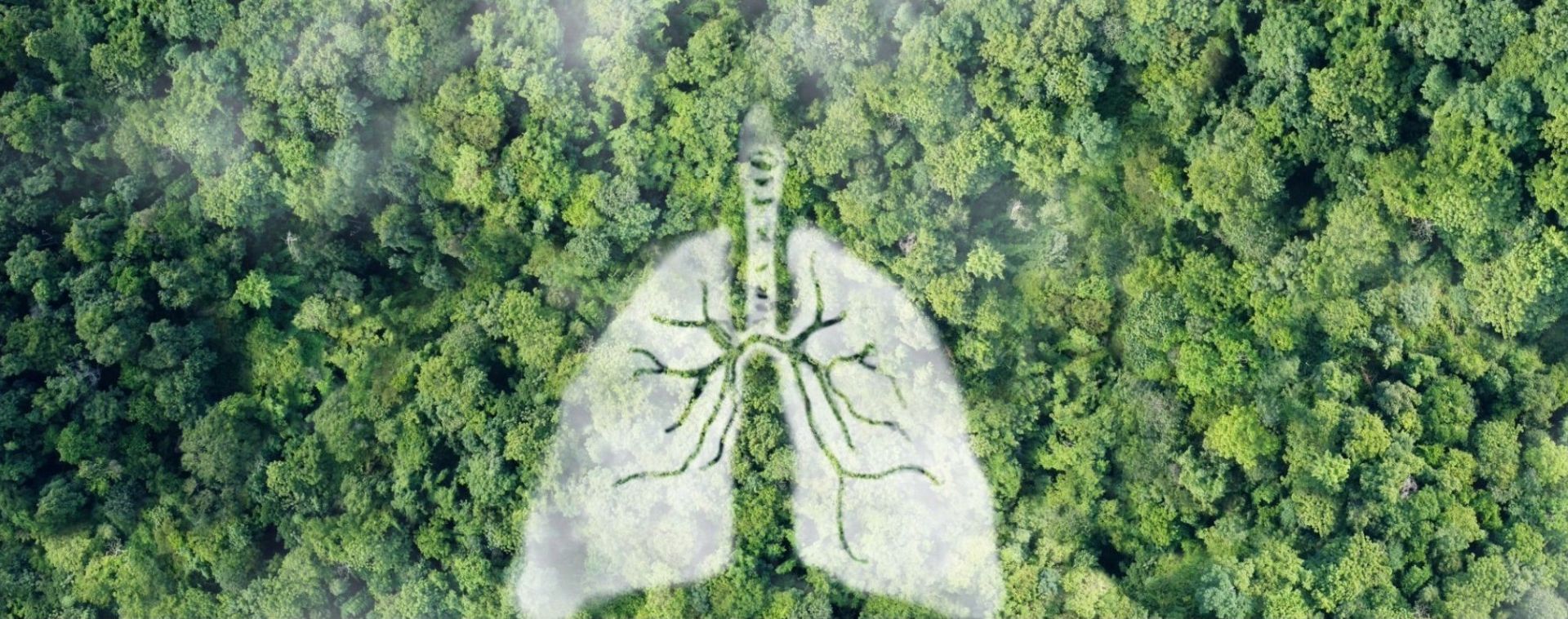 Natural polysaccharides like locust bean gum and chitosan are replacing lactose as safer, more effective carriers for inhaled medications and vaccines.