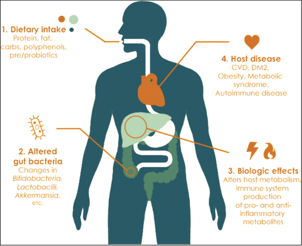 The gut microbiome and its impact on human health.