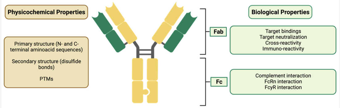 Physicochemical and biological properties. (Mascarenhas-Melo, Filipa, et al.)