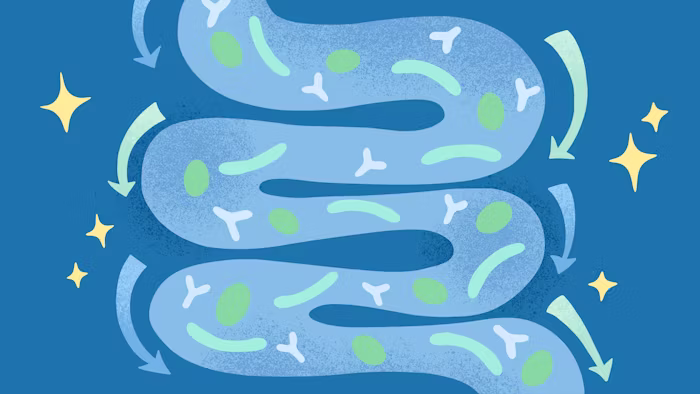 What Are Postbiotics, and Why Do They Matter?