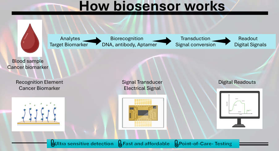 Figure: Schematic working of biosensor in cancer detection.
