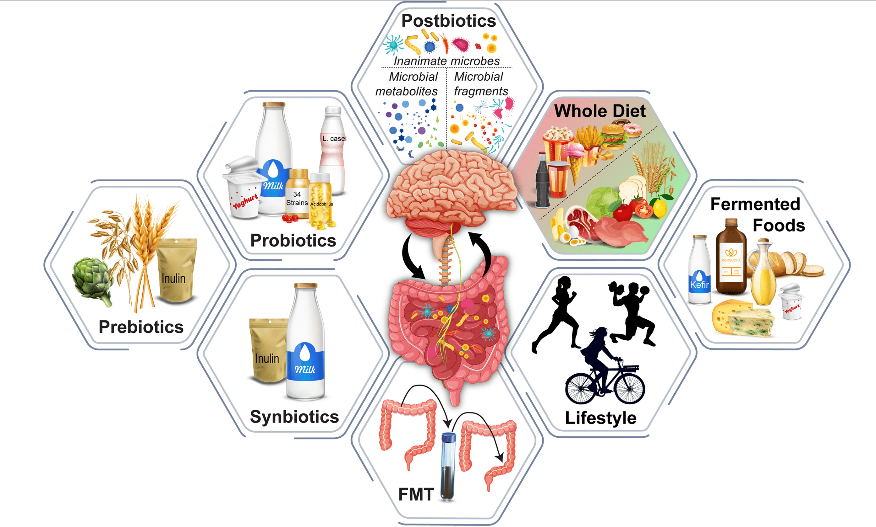 The Gut-Brain Connection
