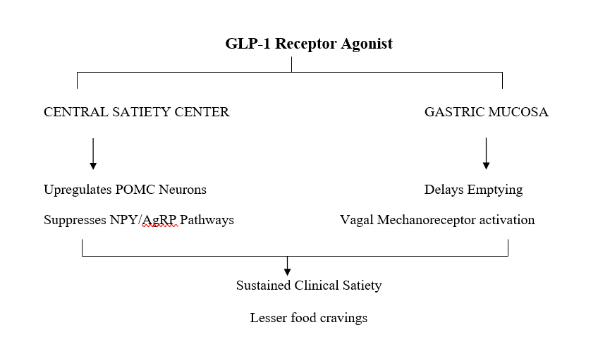 The Reproductive Axis: Rescuing the Neuroendocrine-Ovarian Circuit in PMOS